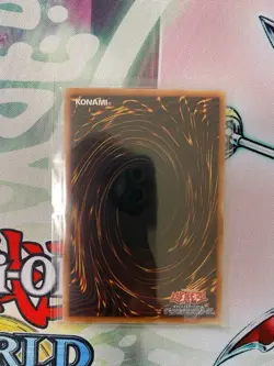 WPP6-JP082 - Yugioh - Japanese - Dragon of Illumination, Sanctuar - Extra Secret - Image 2