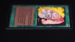 Llanowar Elves MTG Card BETA Magic: the Gathering 1993 - Image 4