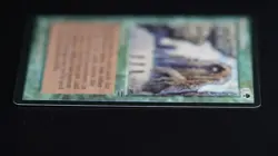 Sylvan Library MTG Card Legends Magic: the Gathering 1994 - Image 4