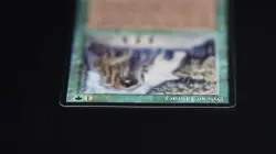 Sylvan Library MTG Card Legends Magic: the Gathering 1994 - Image 5