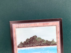 MTG Collector's Edition - Tropical Island - NM - Not Tournament Legal - Image 2