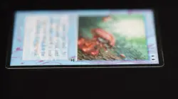 Mana Drain MTG Card Legends Magic: the Gathering 1994 - Image 4