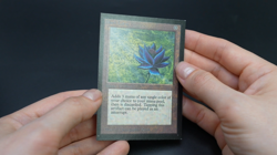 Black Lotus Magic Card International Collectors' Edition ICE MTG - Image 2