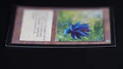 Black Lotus Magic Card International Collectors' Edition ICE MTG - Image 4