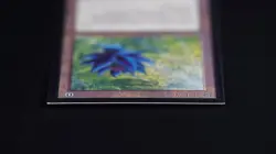 Black Lotus Magic Card International Collectors' Edition ICE MTG - Image 5