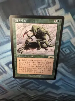 MTG Japanese Survival of the Fittest NM Unplayed Exodus - Image 3