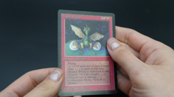 Dragon Whelp Beta MTG Card Magic: the Gathering 1993 - Image 2