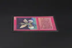 Dragon Whelp Beta MTG Card Magic: the Gathering 1993 - Image 4