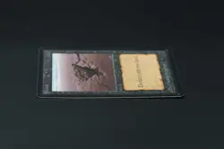 Sinkhole Beta MTG Card Magic: the Gathering 1993 - Image 4