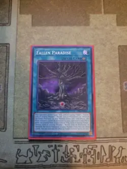 YUGIOH TCG FALLEN PARADISE SDSA-EN021 COMMON 1ST EDITION NM - Image 1