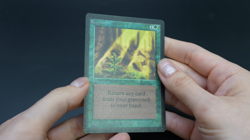 Regrowth Beta MTG Card Magic: the Gathering 1993 - Image 2