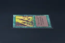 Regrowth Beta MTG Card Magic: the Gathering 1993 - Image 4