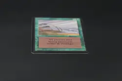 Hurricane Beta MTG Card Magic: the Gathering 1993 - Image 5