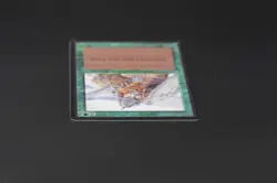 Ice Storm Beta MTG Card Magic: the Gathering 1993 - Image 5