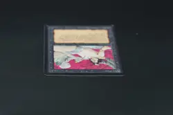 Sacrifice Beta MTG Card Magic: the Gathering 1993 - Image 5