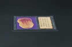 Warp Artifact Beta MTG Card Magic: the Gathering 1993 - Image 4