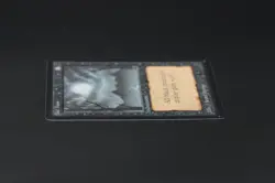Bad Moon Beta MTG Card Magic: the Gathering 1993 - Image 4