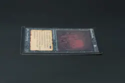 Demonic Hordes Beta MTG Card Magic: the Gathering 1993 - Image 5
