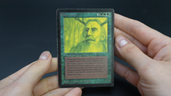 Gaea's Liege Beta MTG Card Magic: the Gathering 1993 - Image 2