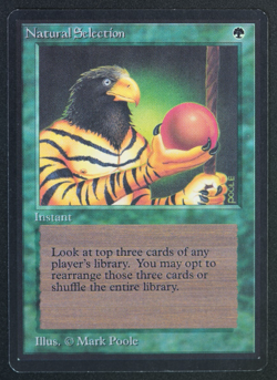 Natural Selection Beta MTG Card Magic: the Gathering 1993 - Image 1