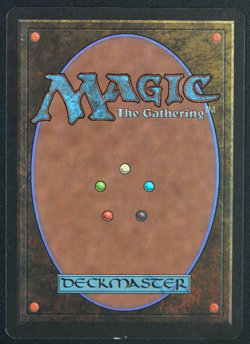 Natural Selection Beta MTG Card Magic: the Gathering 1993 - Image 3