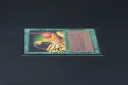 Natural Selection Beta MTG Card Magic: the Gathering 1993 - Image 4