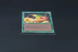 Natural Selection Beta MTG Card Magic: the Gathering 1993 - Image 5