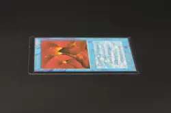 Volcanic Eruption Beta MTG Card Magic: the Gathering 1993 - Image 4