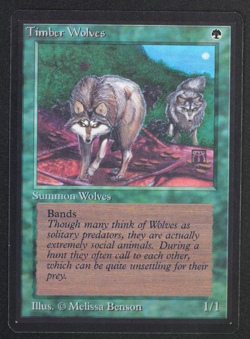 Timber Wolves Beta MTG Card Magic: the Gathering 1993 - Image 1