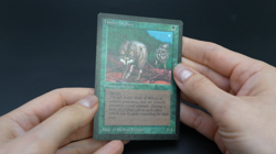 Timber Wolves Beta MTG Card Magic: the Gathering 1993 - Image 2