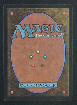 Timber Wolves Beta MTG Card Magic: the Gathering 1993 - Image 3