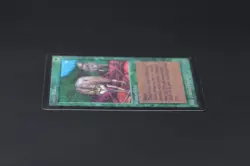 Timber Wolves Beta MTG Card Magic: the Gathering 1993 - Image 4