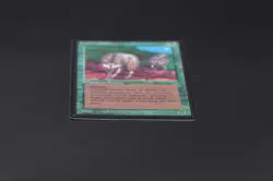 Timber Wolves Beta MTG Card Magic: the Gathering 1993 - Image 5