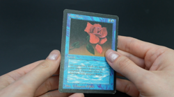 Mana Short Beta MTG Card Magic: the Gathering 1993 - Image 2