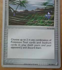 2007 World Championships Windstorm 85/100 Promo non-holo Pokemon NM - Image 3