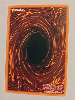 Montage Dragon - CT05-ENS01 - Secret Rare - Limited Edition - YuGiOh NM - Image 2