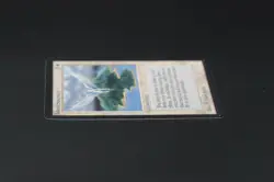 Island Sanctuary Beta MTG Card Magic: the Gathering 1993 - Image 4
