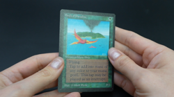 Birds of Paradise Beta MTG Card Magic: the Gathering 1993 - Image 2