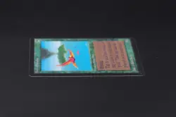 Birds of Paradise Beta MTG Card Magic: the Gathering 1993 - Image 4
