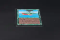 Birds of Paradise Beta MTG Card Magic: the Gathering 1993 - Image 5