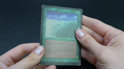 Lifelace Beta MTG Card Magic: the Gathering 1993 - Image 2