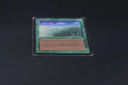 Lifelace Beta MTG Card Magic: the Gathering 1993 - Image 5