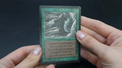 Web Beta MTG Card Magic: the Gathering 1993 - Image 2