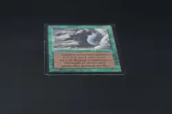 Web Beta MTG Card Magic: the Gathering 1993 - Image 5