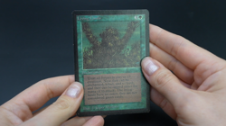 Living Lands Beta MTG Card Magic: the Gathering 1993 - Image 2