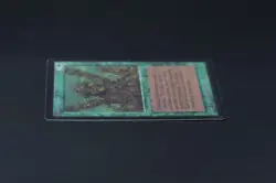 Living Lands Beta MTG Card Magic: the Gathering 1993 - Image 4