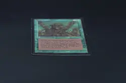 Living Lands Beta MTG Card Magic: the Gathering 1993 - Image 5