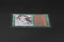 Aspect of Wolf Beta MTG Card Magic: the Gathering 1993 - Image 4