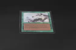 Aspect of Wolf Beta MTG Card Magic: the Gathering 1993 - Image 5