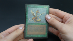 Cockatrice Beta MTG Card Magic: the Gathering 1993 - Image 2